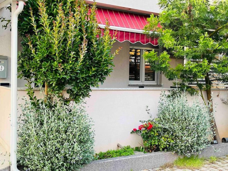 Mima Apartamento PUY Exterior foto